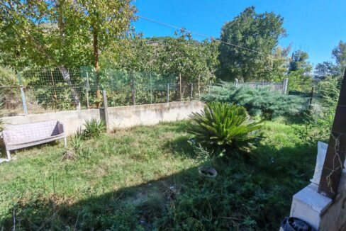 11600cfa-2f83-4ed2-a0ec-177067b7125a